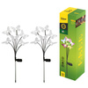 Lampa solarna wbijana 6x motyl LED RGB DIO-0617 Dioled 2 sztuki