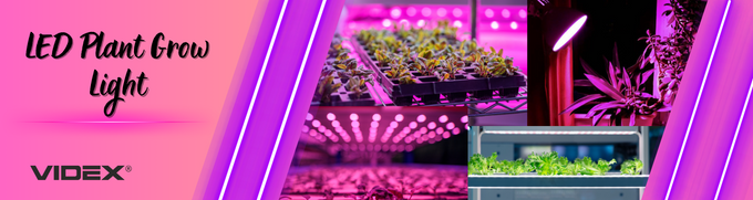 Żarówka LED do roślin filament R80 E27 9W VIDEX